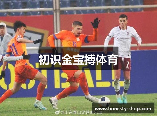 初识金宝搏体育